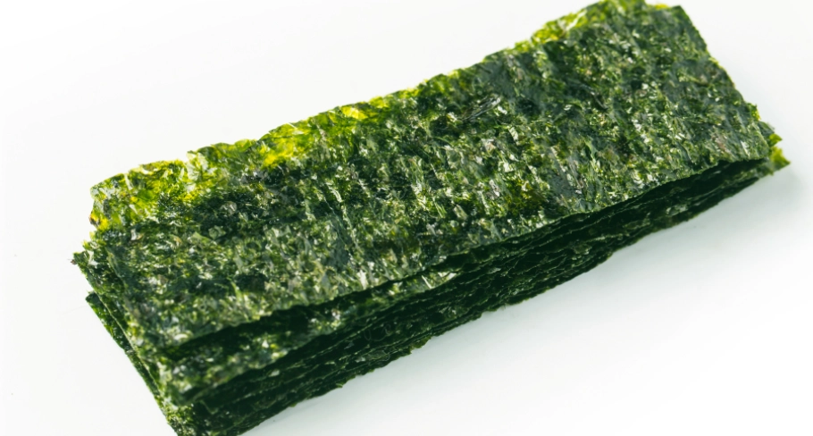 狗狗吃海苔 狗狗吃海苔