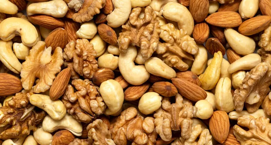 狗狗吃堅果 狗狗吃堅果