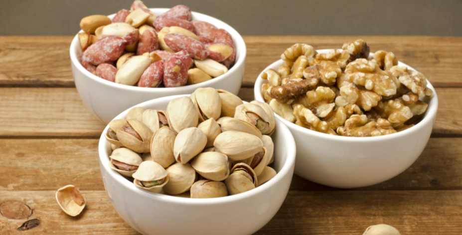 狗狗安全堅果 狗狗安全堅果