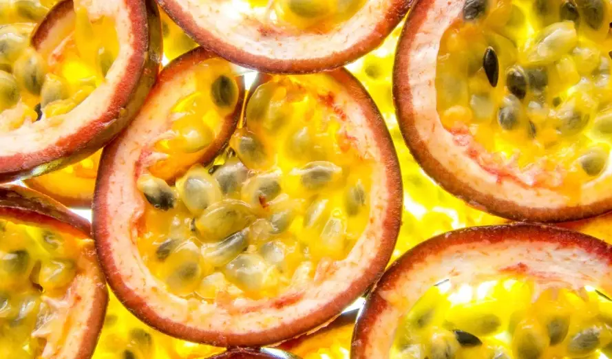 百香果 對狗 的 好處