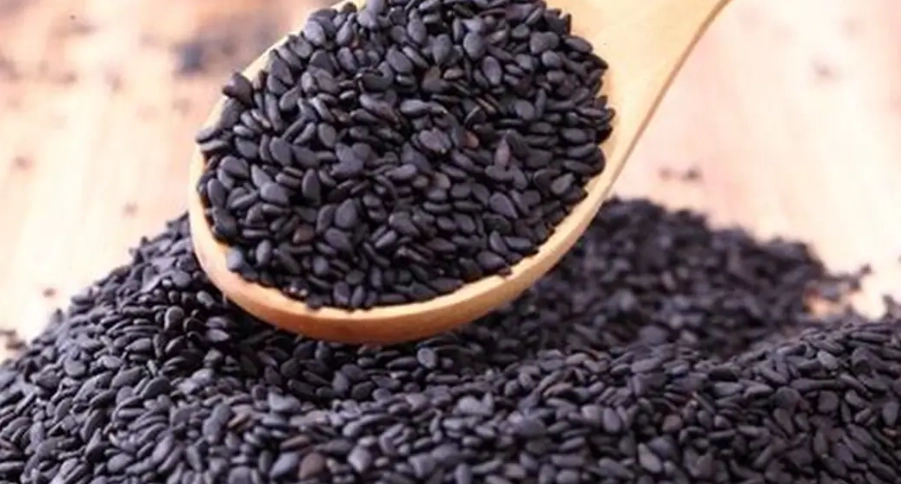 芝麻對狗的好處