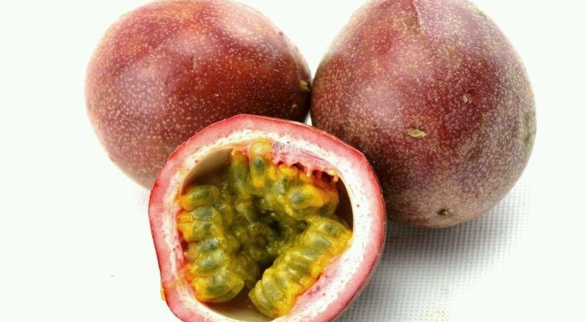 百香果 對狗 的 好處