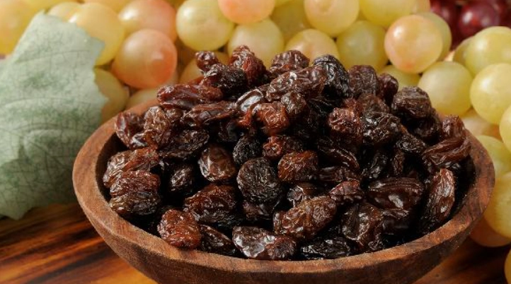 葡萄乾 對貓 有害