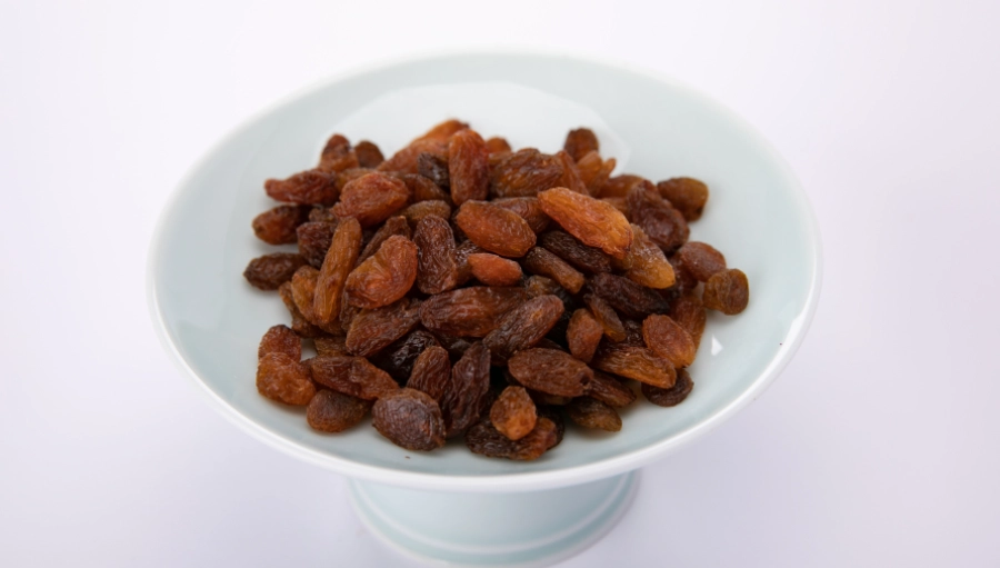 葡萄乾 對貓 有害