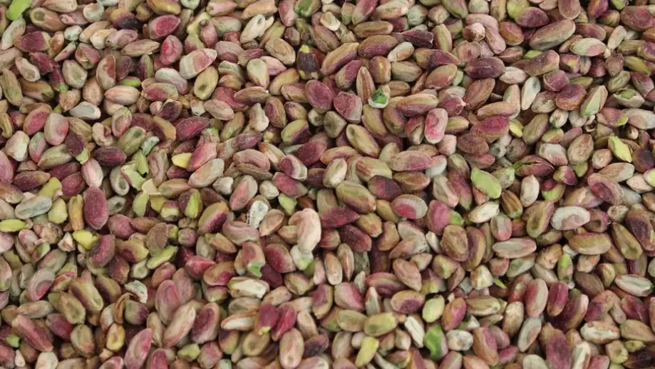 開心果 貓 中毒