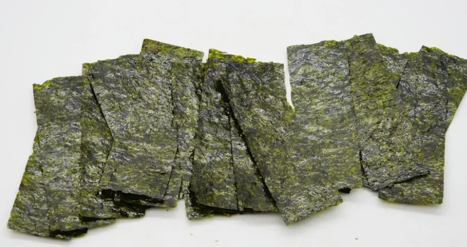 海苔對狗狗有害嗎 海苔對狗狗有害嗎