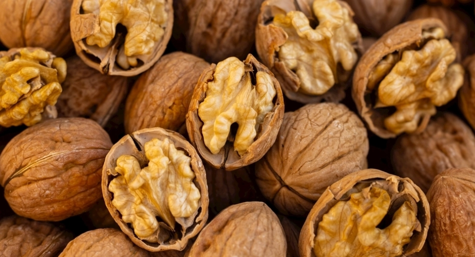 核桃對狗有害 核桃對狗有害