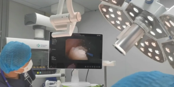 狗狗膀胱結石治療