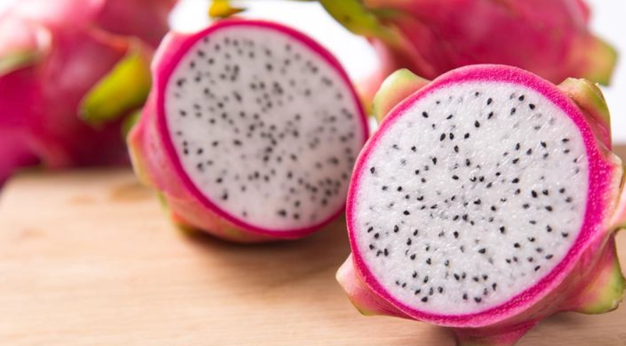 火龍果 貓 拉肚子 火龍果 貓 拉肚子