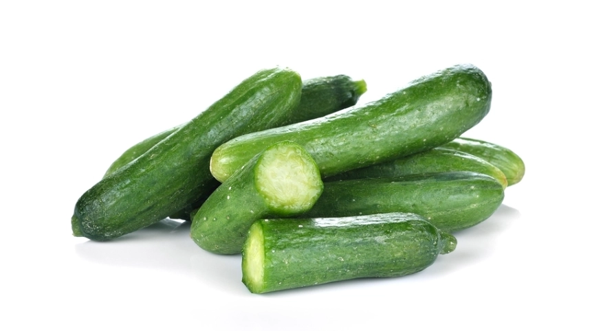 狗狗可以吃什麼