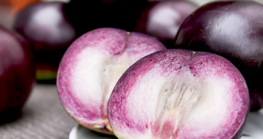 狗狗可以吃牛奶果嗎