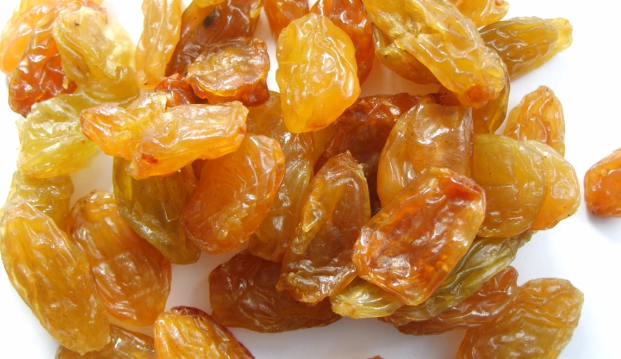 貓咪 食物 中毒