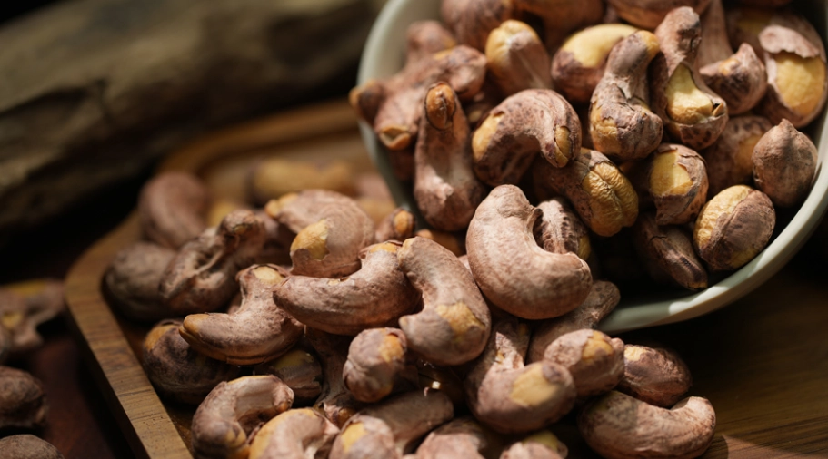 寵物堅果禁忌 寵物堅果禁忌