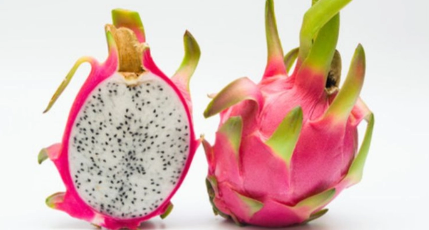 火龍果 貓 拉肚子 火龍果 貓 拉肚子