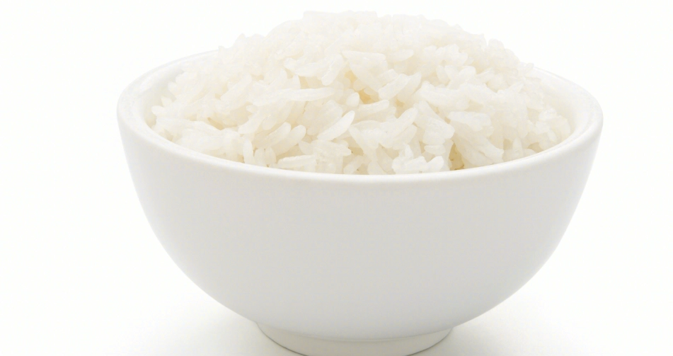 貓可以吃白飯嗎