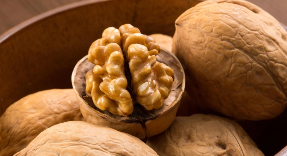 狗狗可以吃核桃嗎