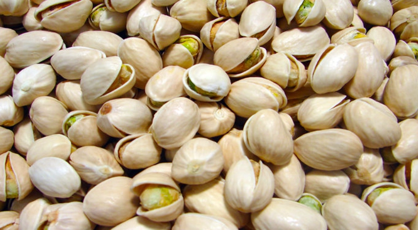 開心果 貓 中毒