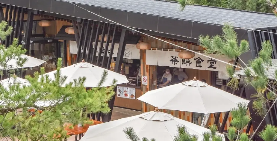 日月潭下午茶