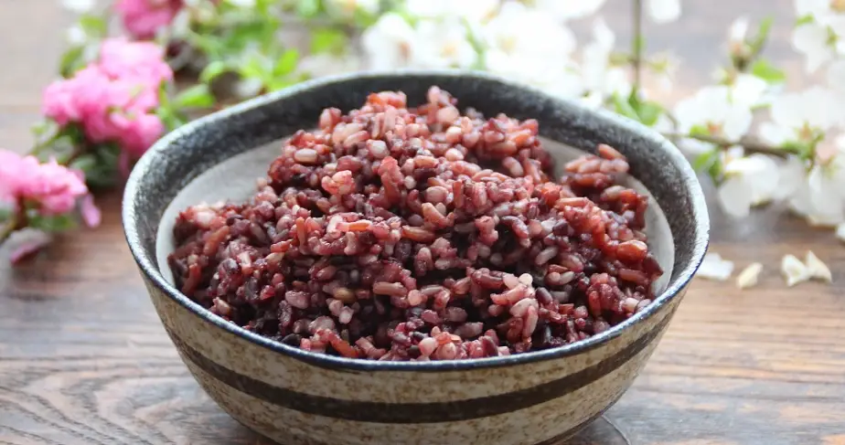 糙米狗食譜 糙米狗食譜