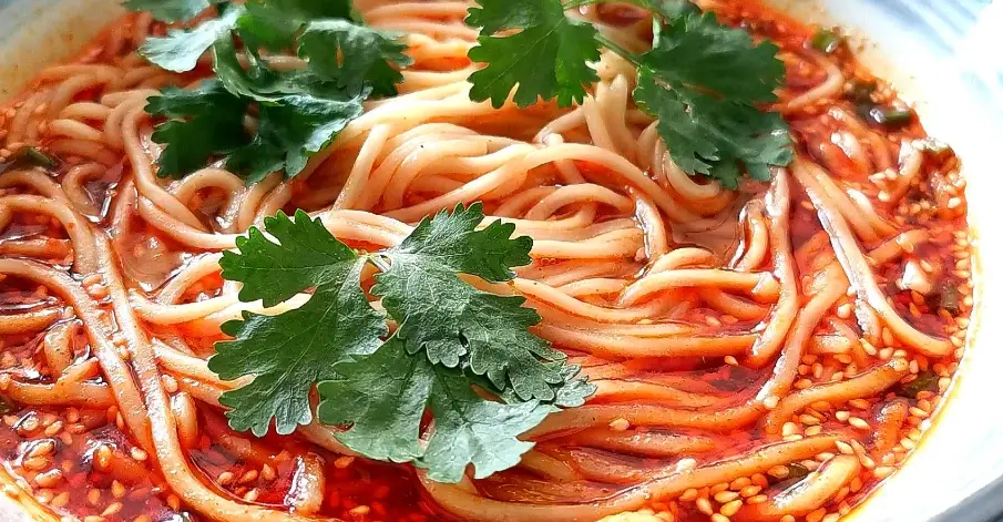 狗吃麵條好處壞處 狗吃麵條好處壞處