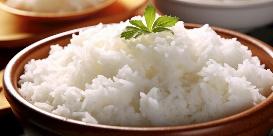 寵物白飯餵食 寵物白飯餵食