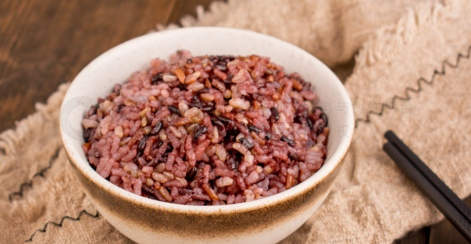 糙米飯餵狗注意事項 糙米飯餵狗注意事項