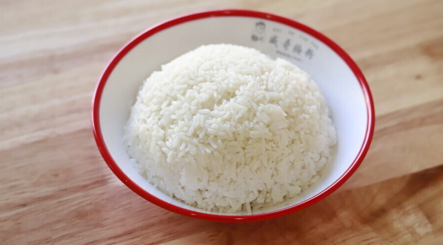 寵物白飯餵食 寵物白飯餵食