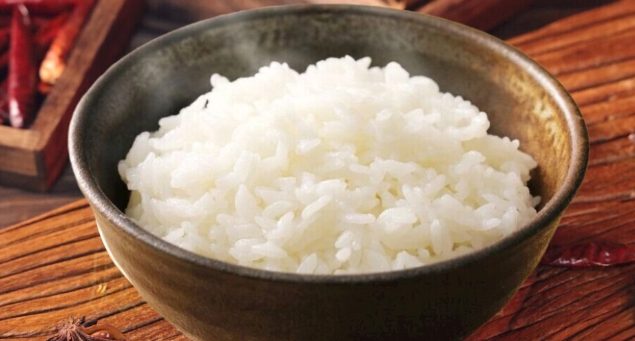 狗狗飲食安全 狗狗飲食安全