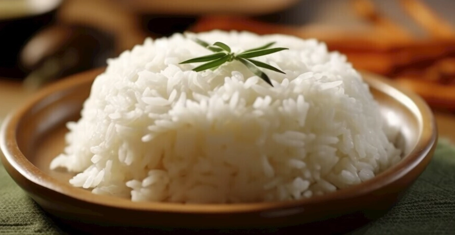 寵物白飯餵食 寵物白飯餵食