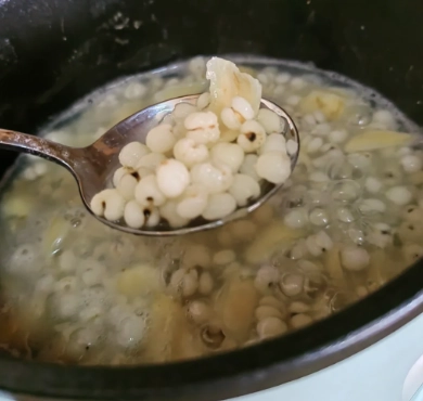 狗薏仁湯食譜