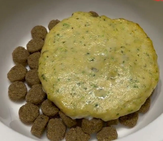 自製狗狗補血餐