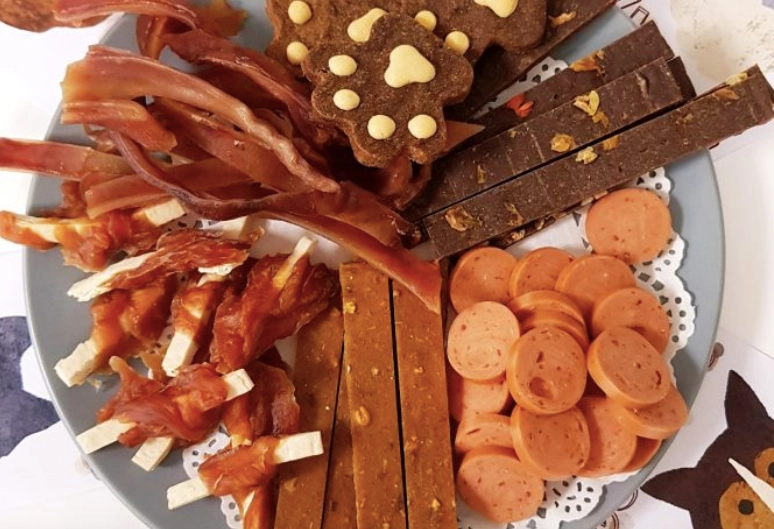 狗狗貧血吃什麼