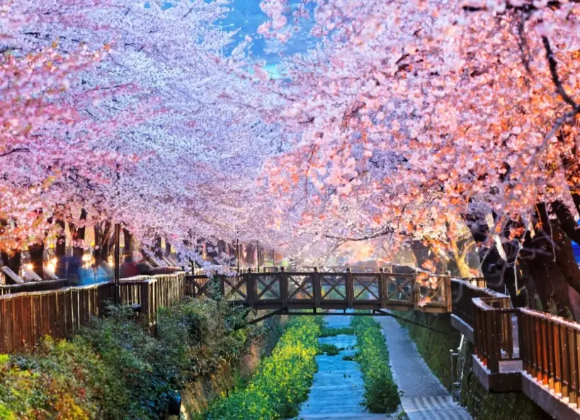 釜山自由行 釜山自由行