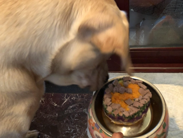 狗狗 可以 吃 饅頭 嗎