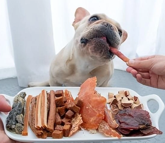 狗不能吃的食物