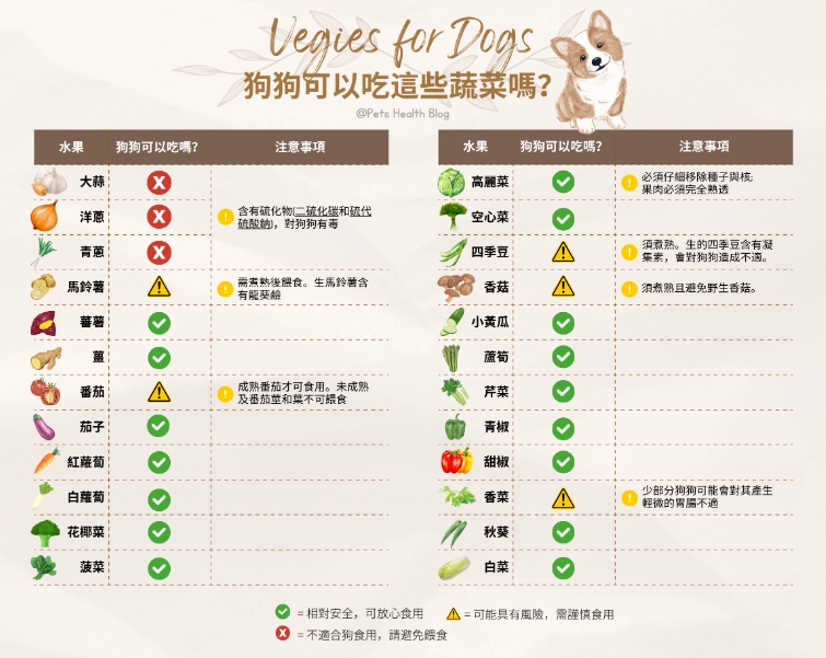 狗吃辣 狗吃辣