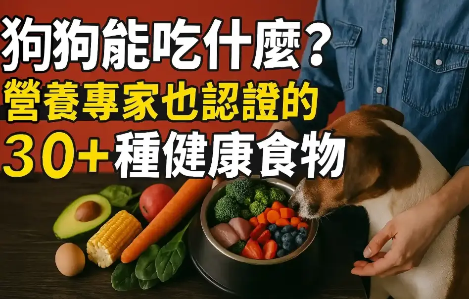 寵物 飲食 安全