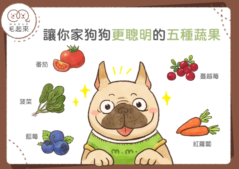 狗薑黃劑量