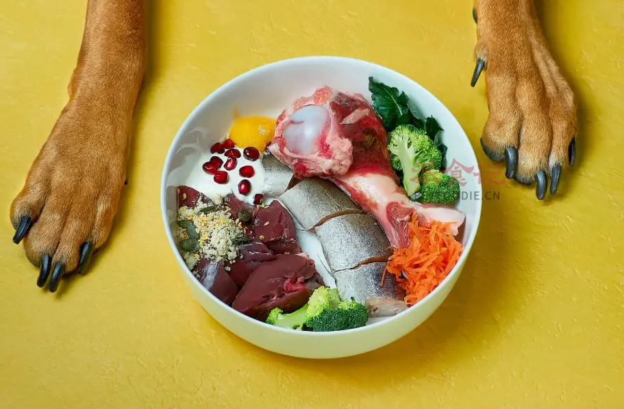 狗吃魚刺症狀 狗吃魚刺症狀