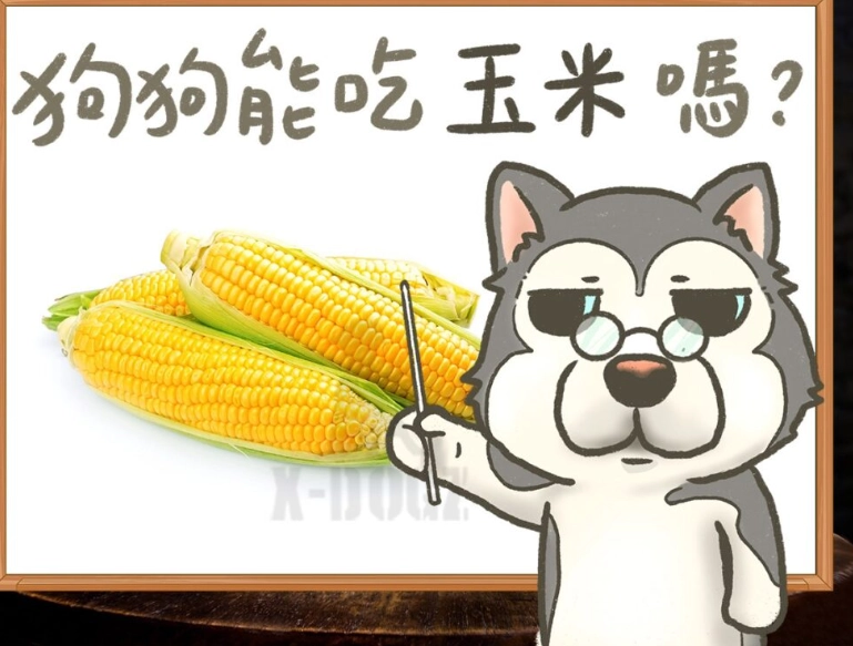 狗 吃 玉米筍 狗 吃 玉米筍