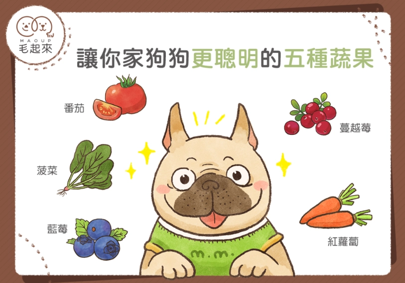 狗 空心菜 好處 狗 空心菜 好處