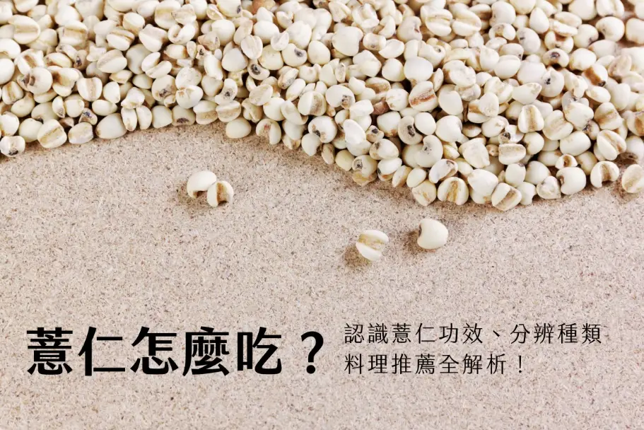 薏仁對狗狗的影響