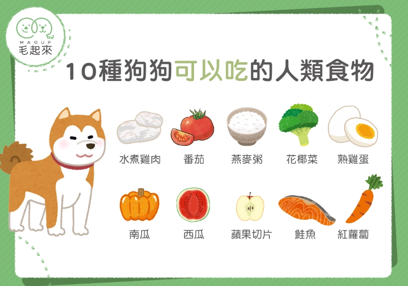 狗 可以吃 薏仁嗎 狗 可以吃 薏仁嗎