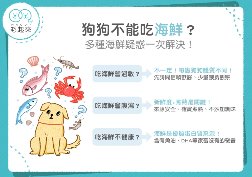 寵物 鮮食 食譜 寵物 鮮食 食譜