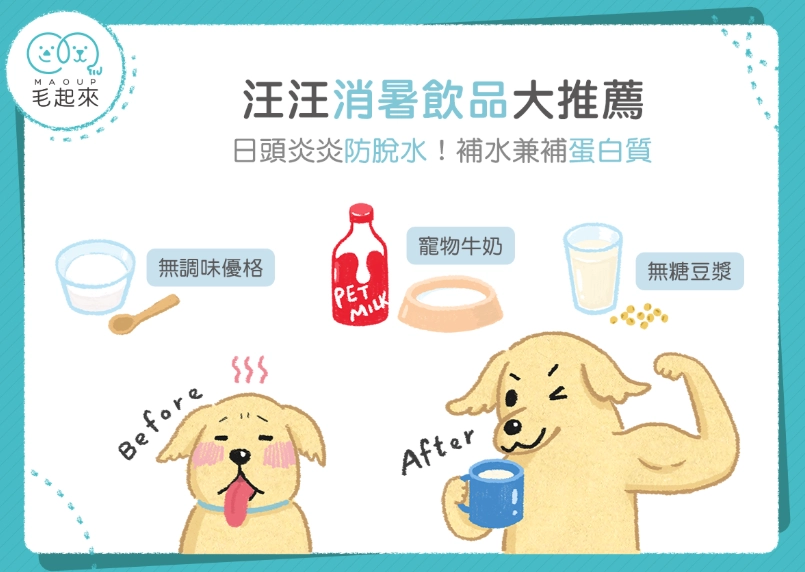 寵物補血劑推薦 寵物補血劑推薦