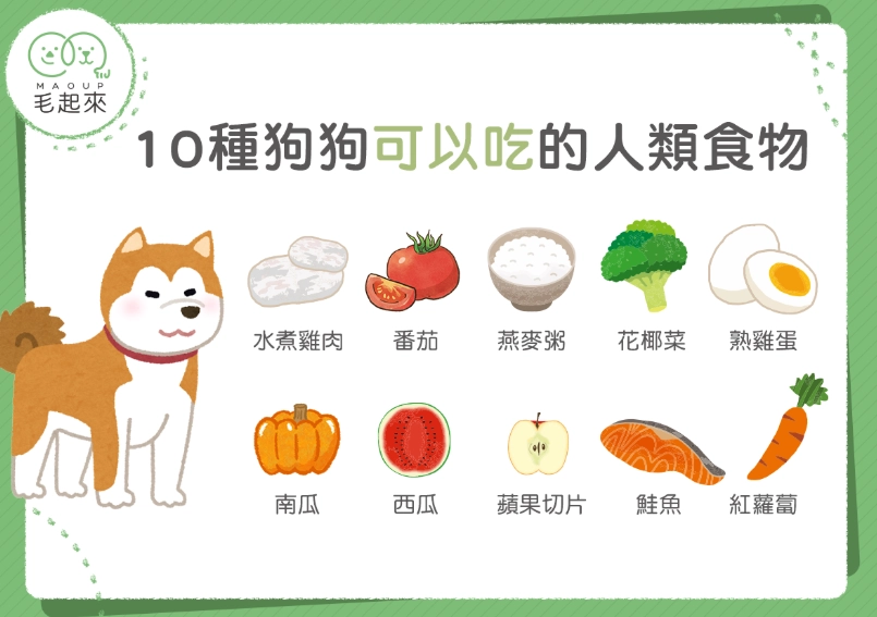 燕麥片對狗的好處 燕麥片對狗的好處