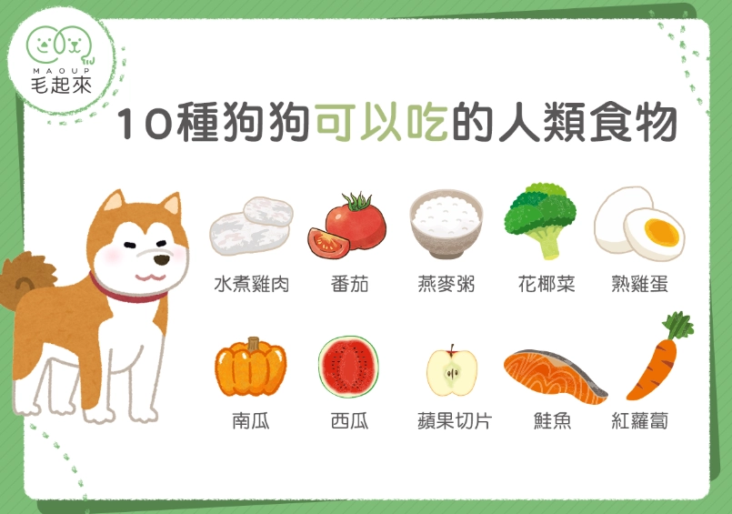 狗狗吃章魚 狗狗吃章魚