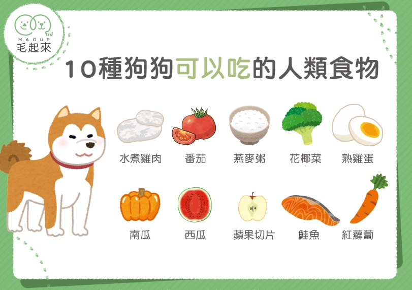 狗狗海鮮零食