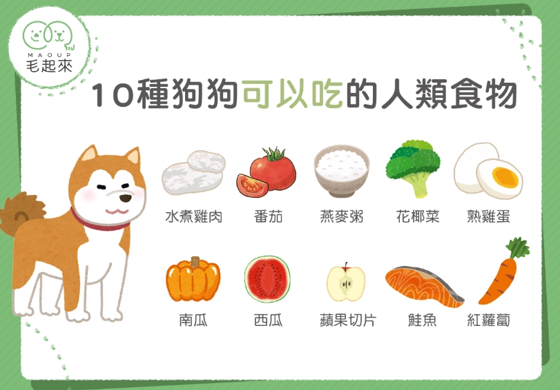 狗可以吃小白菜