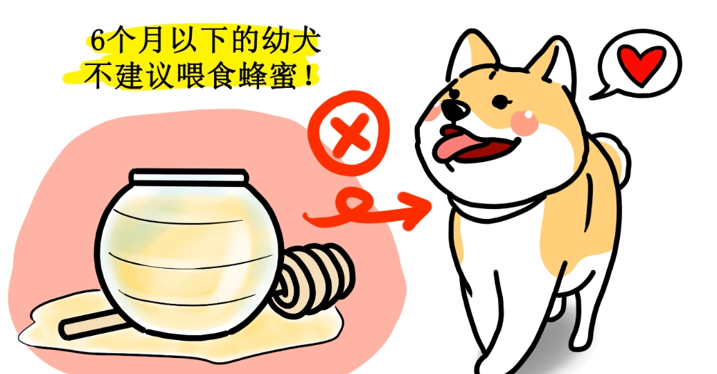 狗狗蜂蜜水 狗狗蜂蜜水